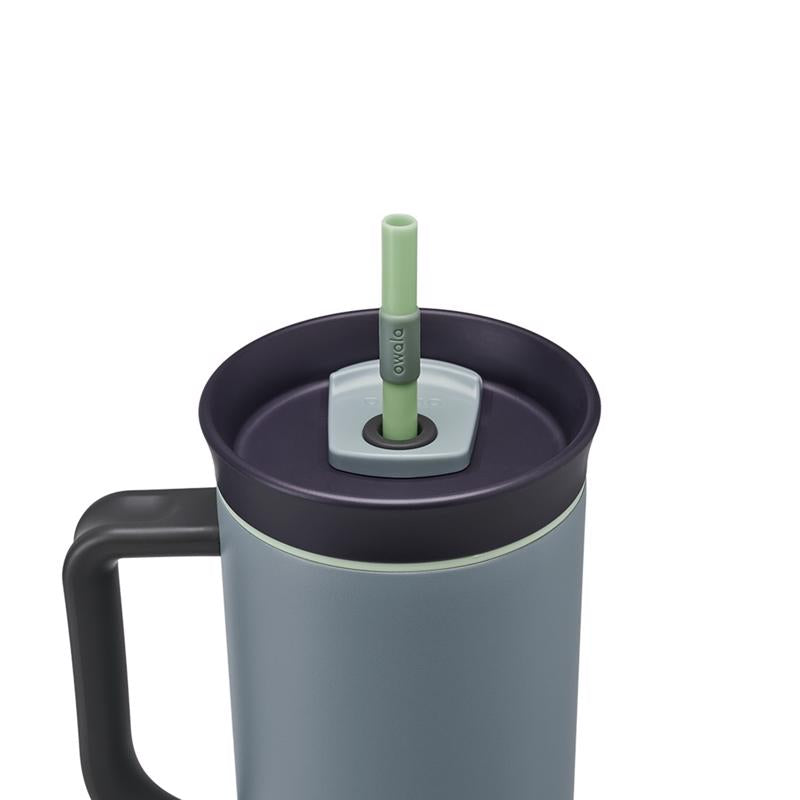 Owala 40 oz Lost Valley BPA Free Insulated Straw Tumbler
