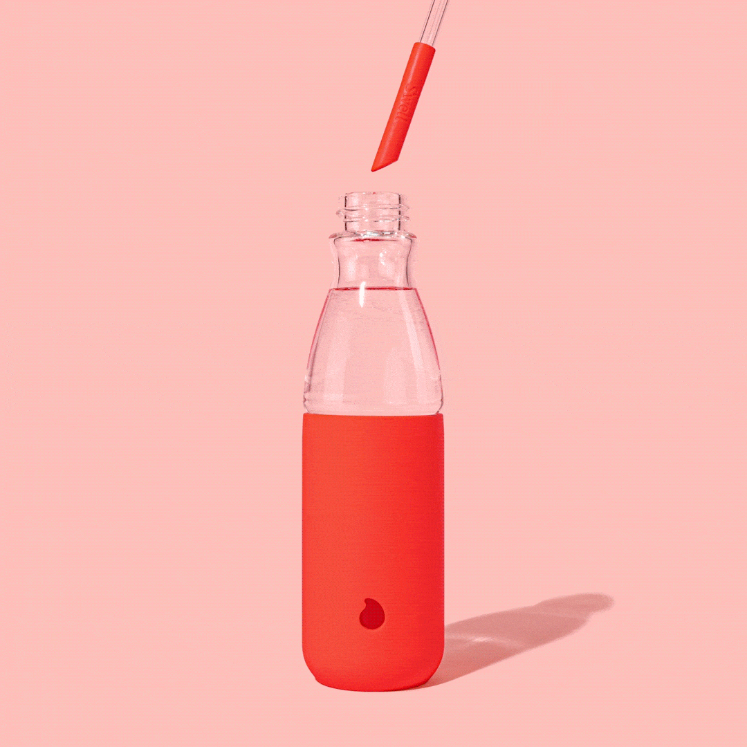 Glass Straw Set